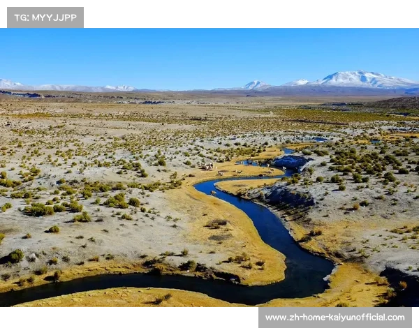 玻利维亚高原氧气差异对客队跑动表现影响的量化分析